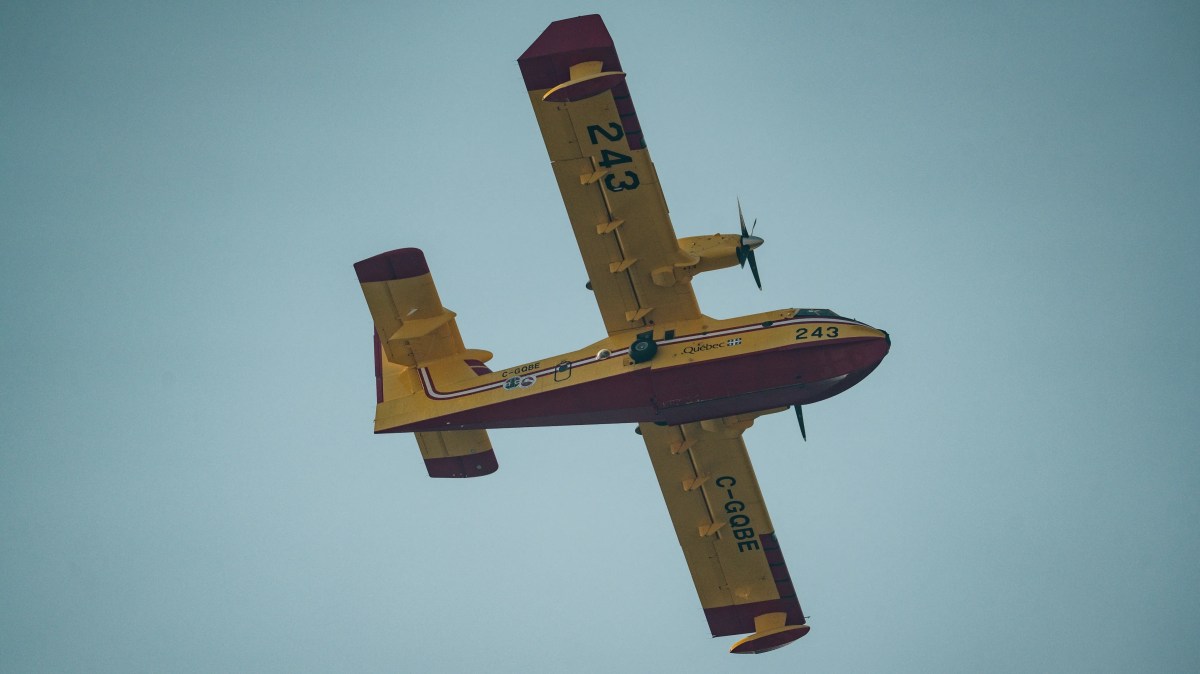 Plane hit by drone